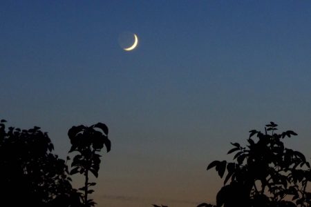Tussen traditie en wetenschap: wanneer begint de Ramadan?